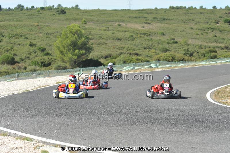 DSC (2780).JPG